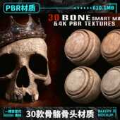 A241 max高清肌理污渍骨骼骨头模型贴图PBR材质素材 c4d blend