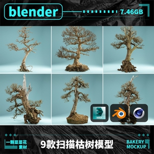 blender/C4D/MAYA/MAX 9款风格化真实枯树木植物枯萎模型素材A101
