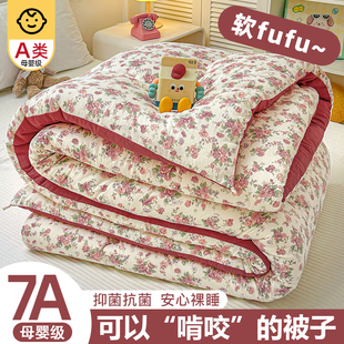 A类被子冬被棉被被芯加厚保暖春秋被褥四季通用冬季单人2026新款