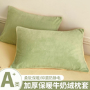 48cmx74cm加厚单个毛绒枕芯内胆套 新款 冬季 牛奶绒枕头枕套一对装
