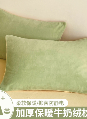 冬季牛奶绒枕头枕套一对装新款48cmx74cm加厚单个毛绒枕芯内胆套