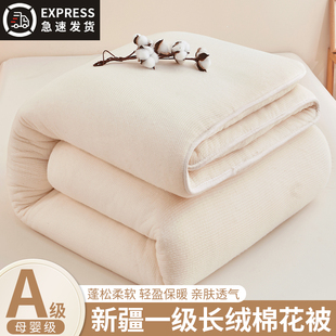 新疆棉被纯棉花被子冬被加厚保暖全棉被芯单人棉絮床垫被褥子棉胎
