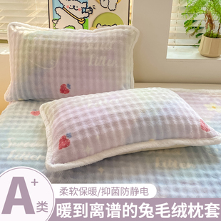 牛奶绒枕头枕套一对装 枕芯内胆套48cmX74cm单个毛绒枕头套冬 新款
