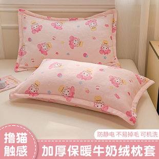 牛奶绒卡通枕套一对装48x74cm秋冬季加绒枕头套单人枕芯内胆套2