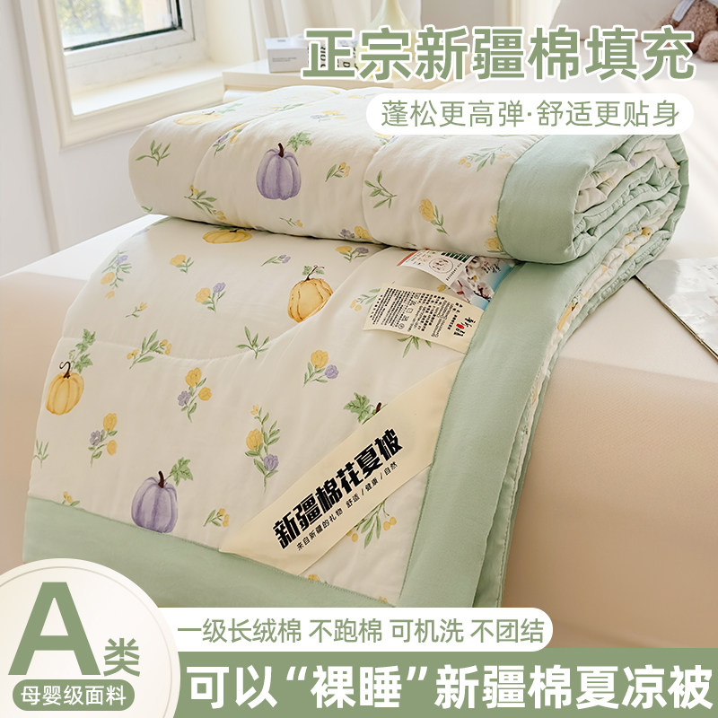 2026新款新疆棉花被子被芯空调夏凉被宿舍冬被棉被春秋被四季通用