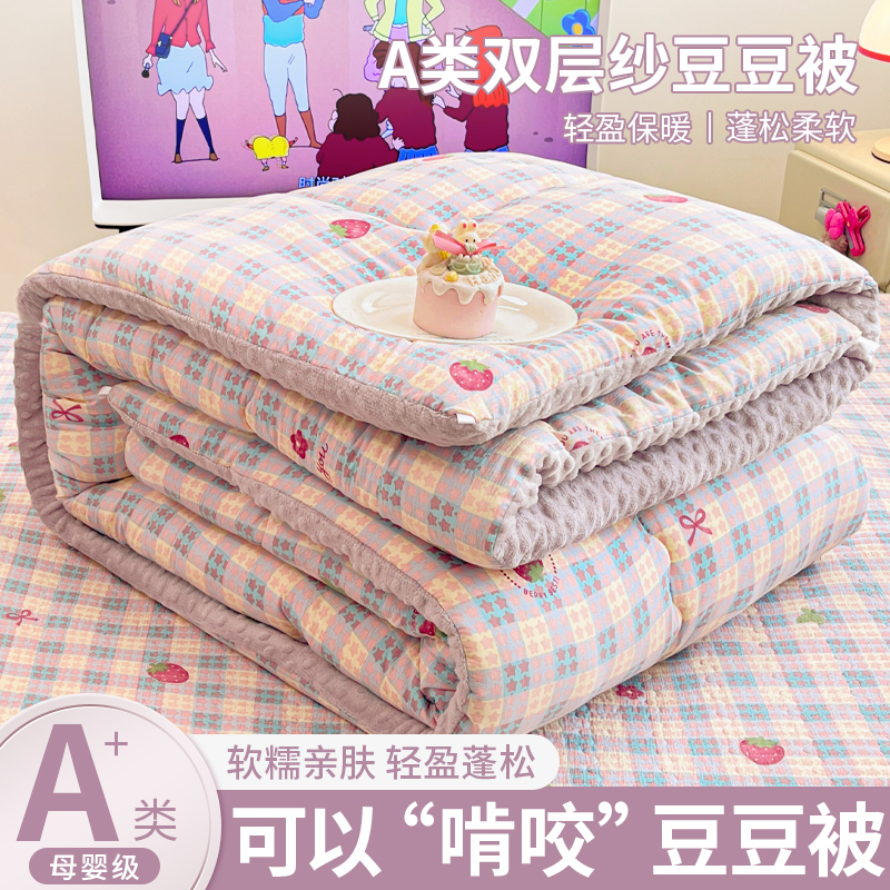 秋冬季双层纱豆豆绒被子被芯