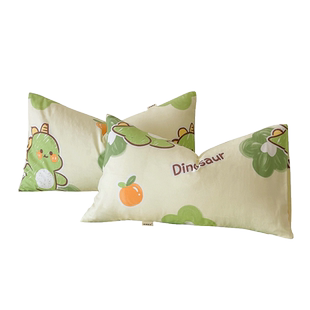 老粗布枕头套一对装单个非全棉纯棉48cmx74cm家用2024年新款可爱