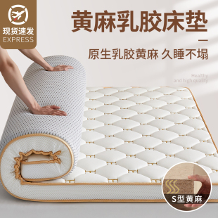 黄麻护脊腰乳胶床垫家用单人垫子榻榻米租房专用可折叠床垫子软垫