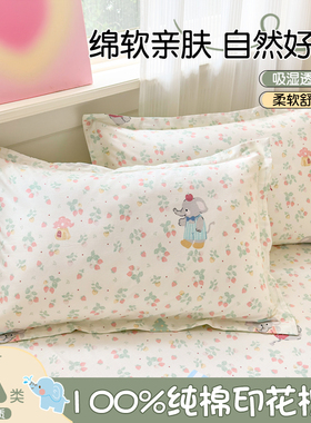 全棉枕头套一对装2025新款纯棉48cmx74cm枕套家用卡通枕芯内胆套