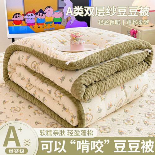 秋冬季双层纱豆豆绒被子被芯