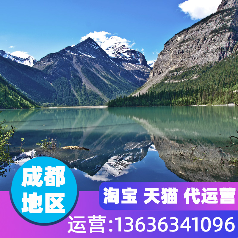 四川成都办公家具食品服饰淘宝网店京东拼多多空调天猫店铺代运营