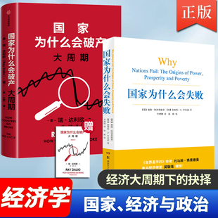 国家为什么会破产 大周期 瑞·达利欧2025新作 国家为什么会失败 达利欧原则 债务危机 国家兴衰 秩序规律 政策 投资 关税战