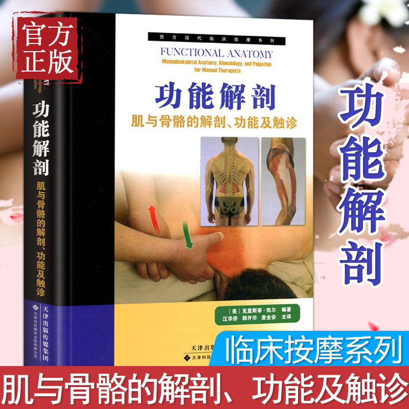 正版包邮 功能解剖 西方现代临床按摩系列 肌与骨骼的解剖、功能及触诊外科学临床医学骨骼肌肉功能解刨学 骨关节