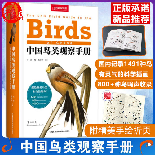 中国鸟类观察手册 中国鸟类行为动物科普图鉴 珍惜森林草原野鸟形态图鉴野生动物百科中国国家地理书籍正版现货