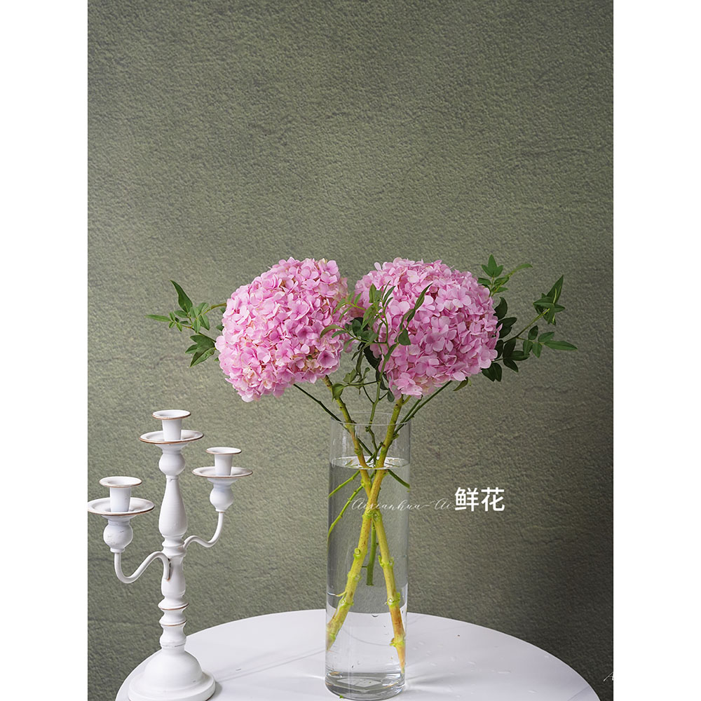 AA温柔粉色绣球鲜花插花水养送花