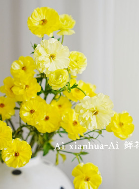 氛围感拉满黄色蝴蝶洋牡丹鲜花家居插花水养节日直发空运花期长