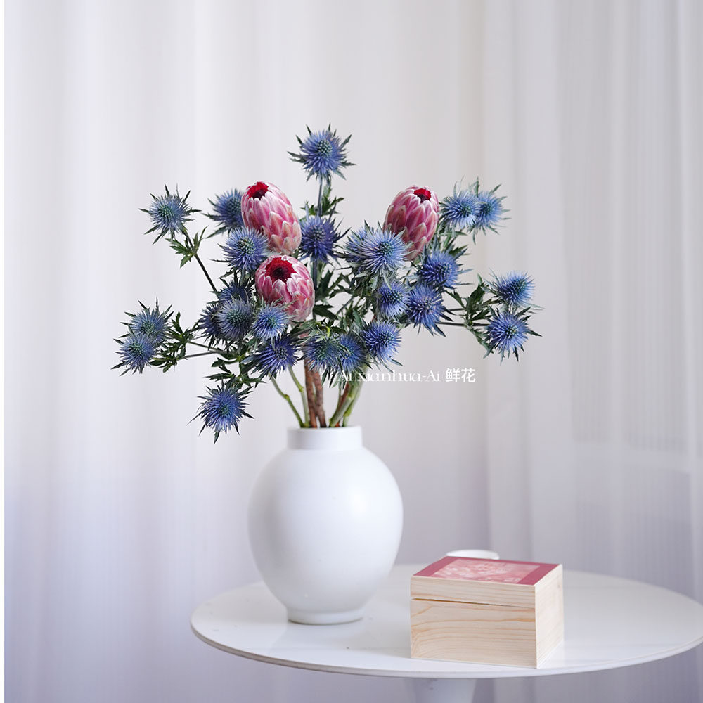 进口公主花鲜花刺芹花组合花束插花水养家居办公花期长可做干花