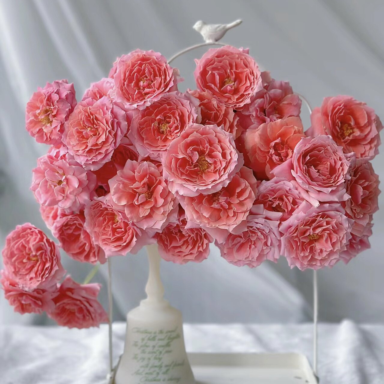 人间绝色奥斯汀花型天使罗拉多头玫瑰鲜花插花水养云南直发送花