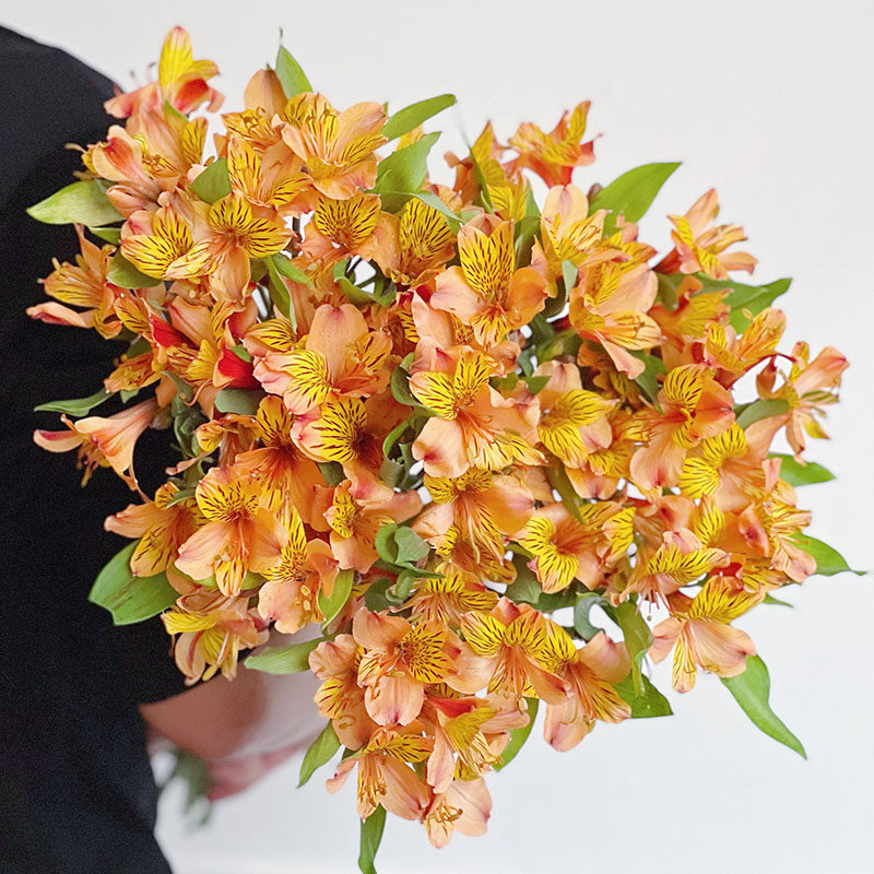 活力满满进口橙色水仙百合鲜花六出花插花水养云南直发节日送花