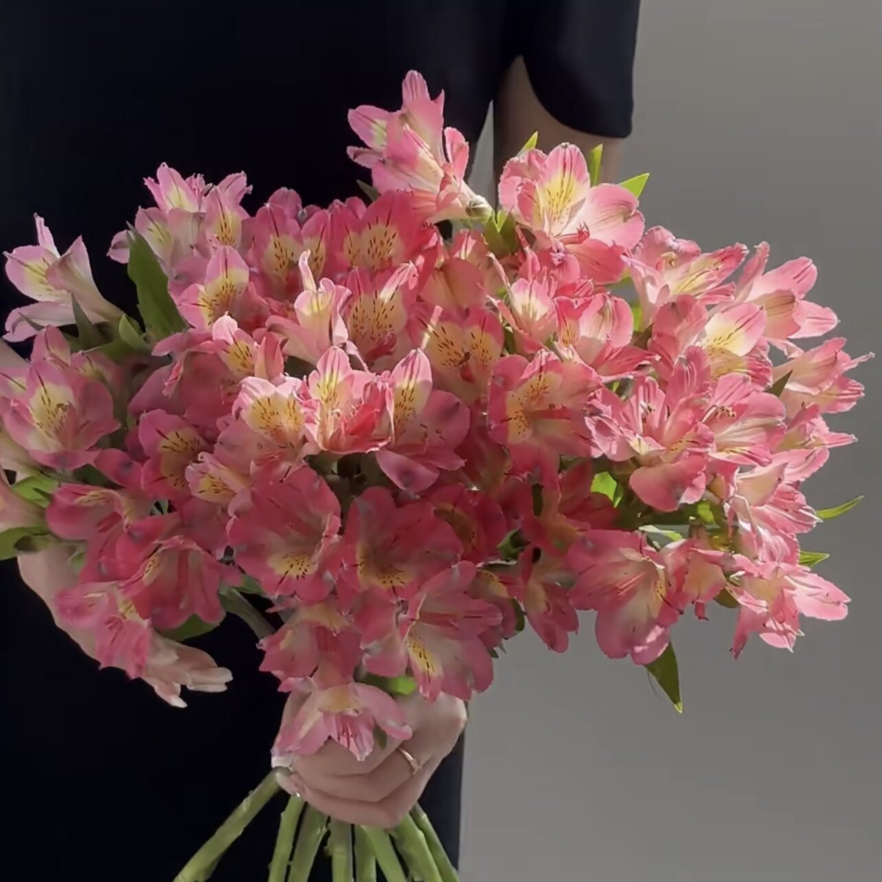 进口超美深粉色水仙百合鲜花家居插花水养节日送花混搭花期长爆花