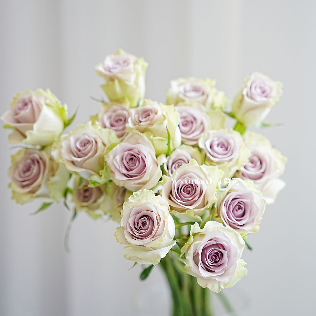 淡雅轻灵小花浅紫色海洋之谜