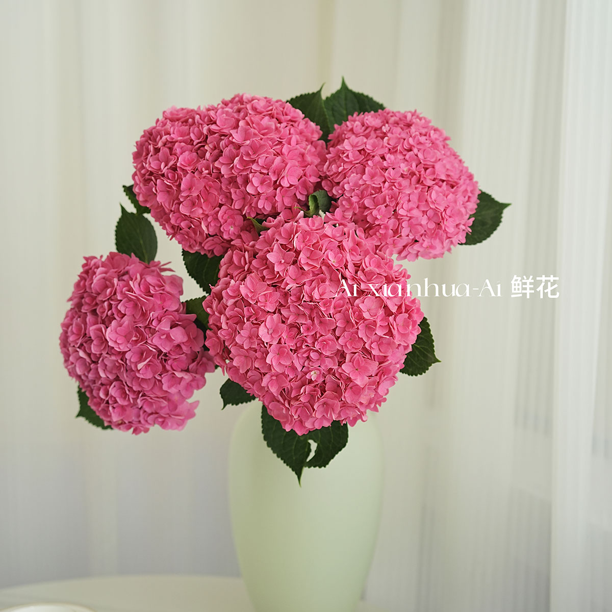 高质品牌蜜糖重瓣绣球花鲜花家居