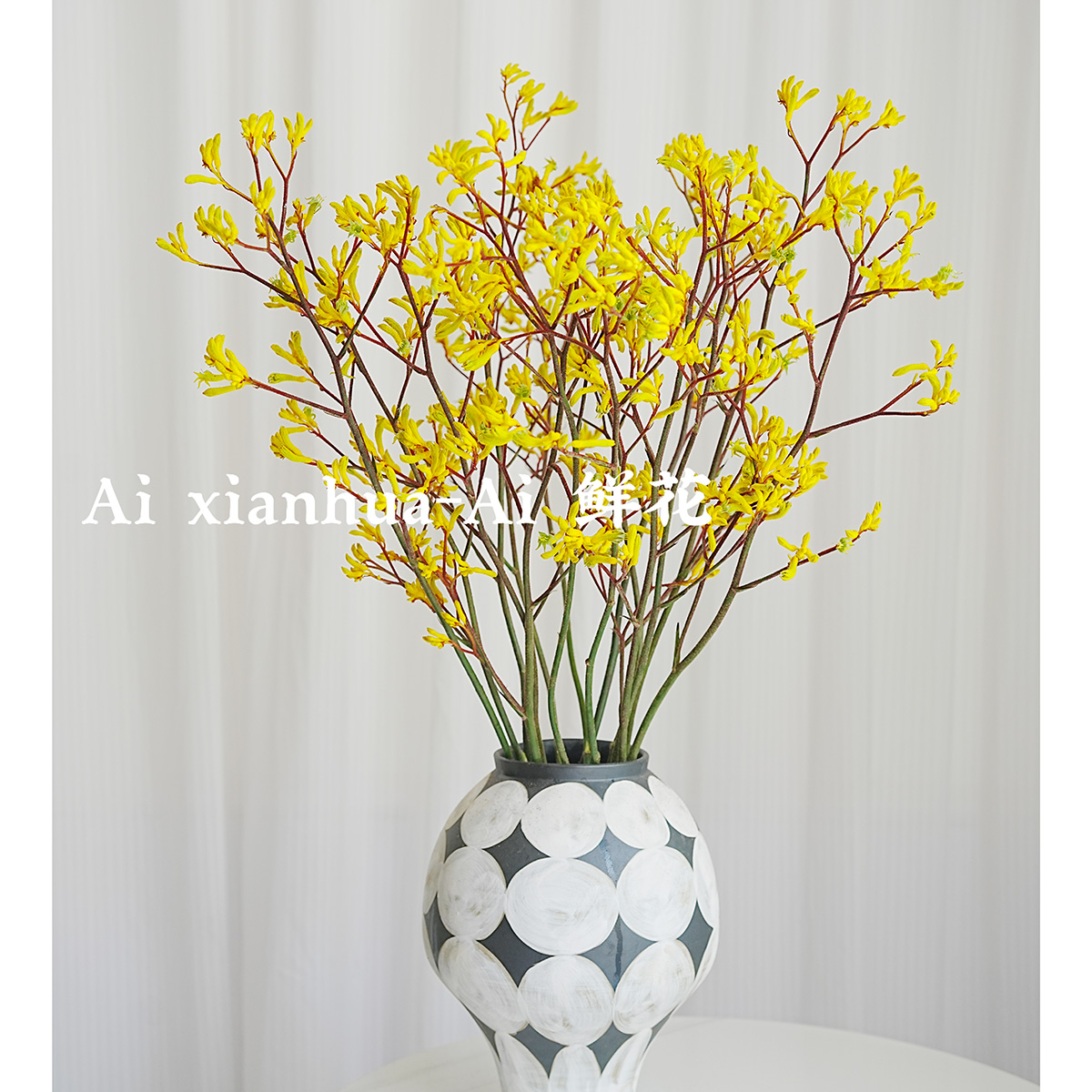 高级感满满金黄色袋鼠爪鲜花