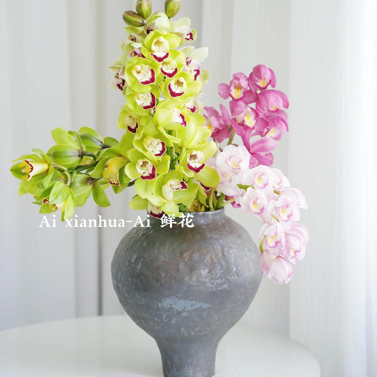 王炸大花蕙兰鲜花水插花年宵花