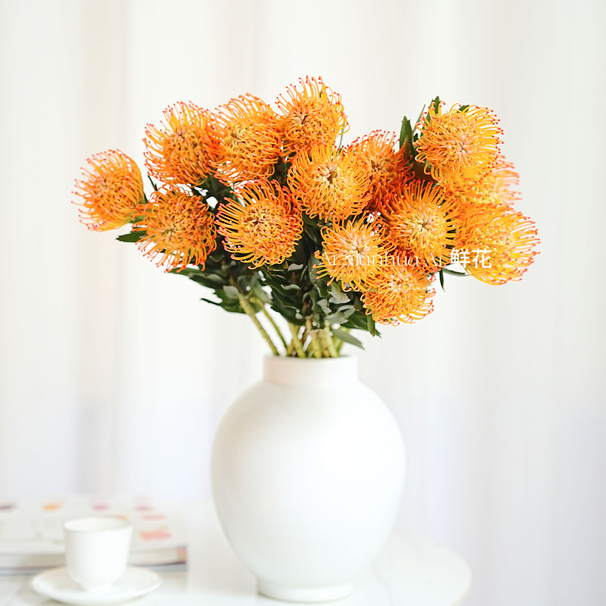 一团烟花型进口橙黄色针垫花鲜花