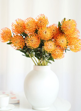 一团烟花型进口橙黄色针垫花鲜花家居办公插花水养花期长可做干花