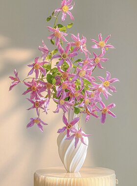 多头甜心粉铁线莲鲜花家居插花水
