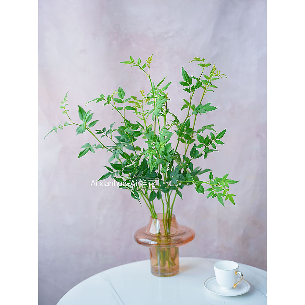 灵动精致型叶材九星叶鲜花插花水