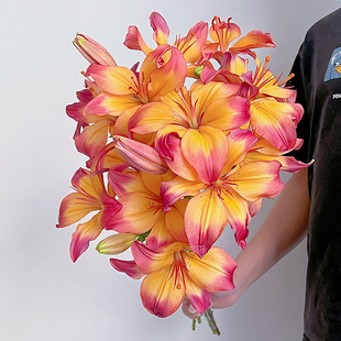 多色番茄炒蛋心弦亚百合鲜花插花水养家居办公花期超长送花顺丰