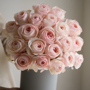 进口品牌仙气凯瑟琳玫瑰花鲜花水养插花家居装饰节日送花百搭花束