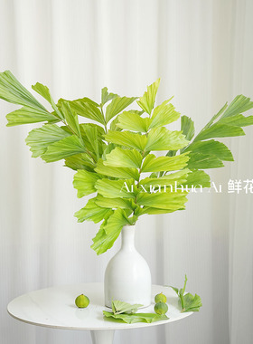 形态超级美树上游动的鱼群状绿色鱼尾葵鲜切枝插花水养云南直发