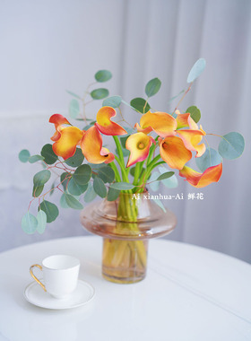 明亮温暖色进口橙色马蹄莲鲜花插花水养家居装饰高级感云南直发