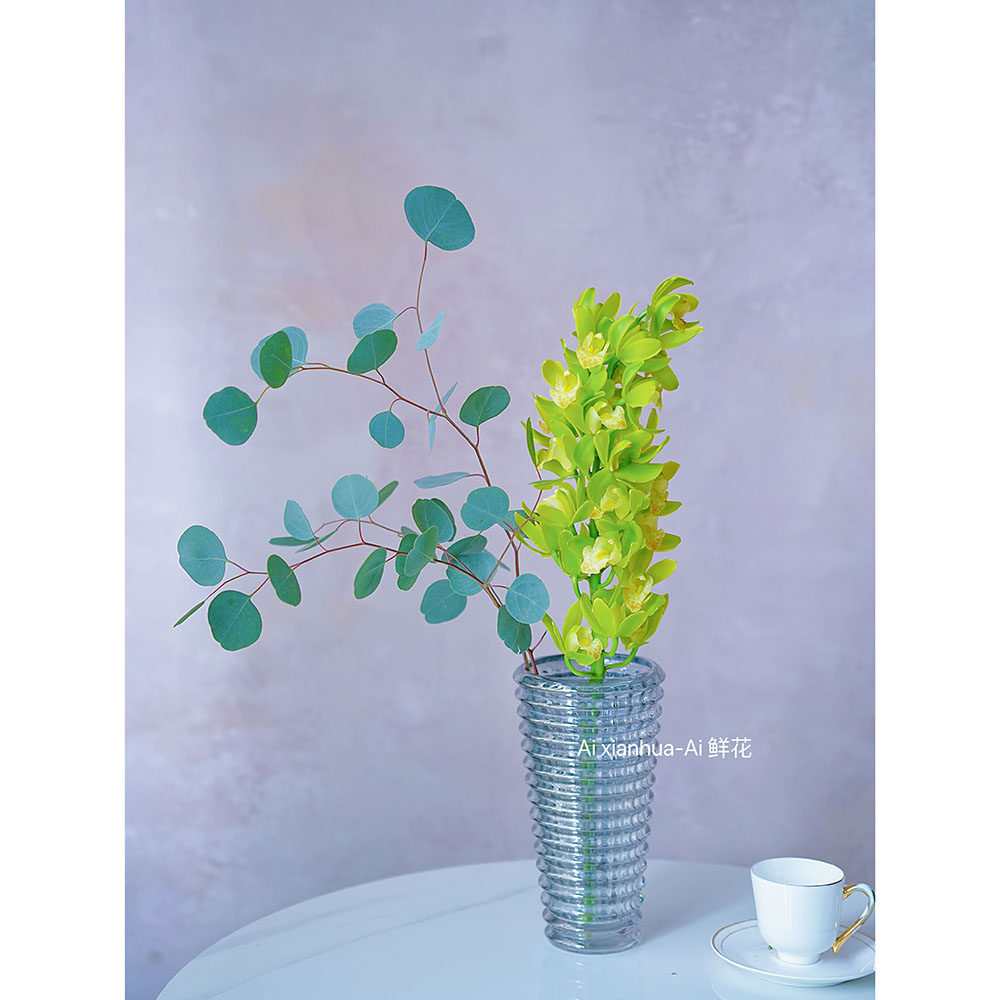 绿色蕙兰鲜花插花水养年宵花