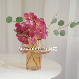 斑驳色彩泰国进口乌梅子色胡姬兰鲜花插花水养云南直发花期长送花