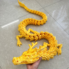 3D модель члена