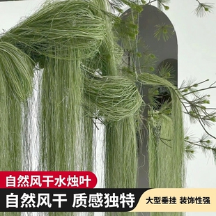 拉丝水蜡叶水烛叶丝干花自然风干花束大型垂挂婚庆造景真花装饰花