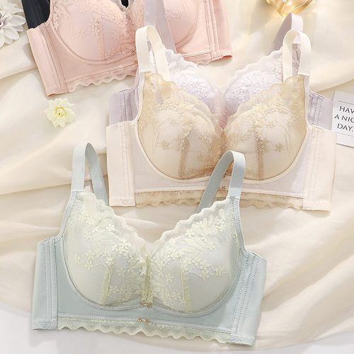 855# 春夏新款 无钢圈小胸聚托文胸收副乳性感内衣批发拿货