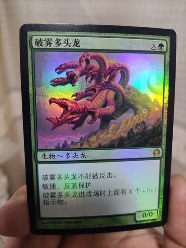 【哈尔滨学府】万智牌 MTG 塞洛斯 绿色 金 破雾多头龙 中文 闪