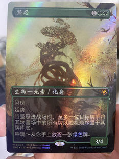 【学府卡牌】万智牌 坚忍 中/英 纹理闪 特别登场 SPG 摩登新篇3