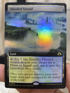 【学府卡牌】万智牌 MTG 潮没水滨 中英文 扩画闪 摩登新篇3 MH3