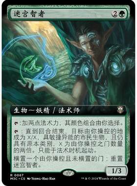 【学府卡牌】万智牌 MTG 迷宫智者 简中 扩画 摩登新篇3 MH3 稀有