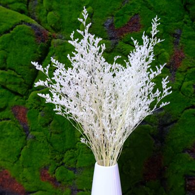 永生花情人草干花白色情人草材料包香薰蜡烛婚礼耗材装饰批发花店