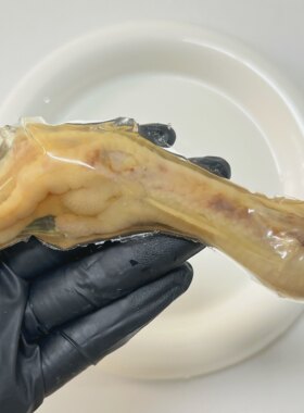 汪府宠物鲜食酥骨鸡爪胶原蛋白