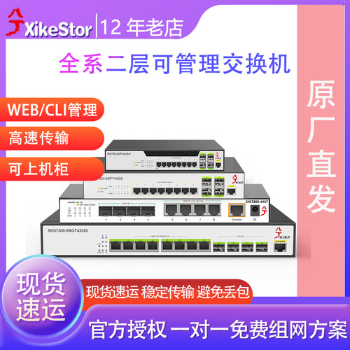 兮克8口12口16口26口万兆交换机