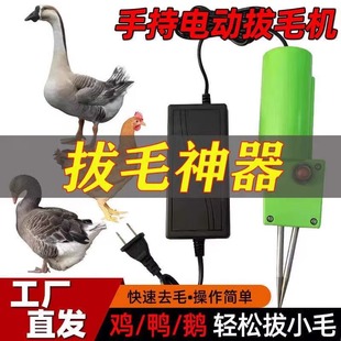 拔毛神器鸡毛鸭毛拔鸭毛神器手持电动家禽拔毛机打毛鸭脱毛机家用