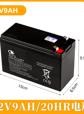 12V9AH儿童电动玩具汽车越野车蓄电池电瓶充电器配件通用ups电池